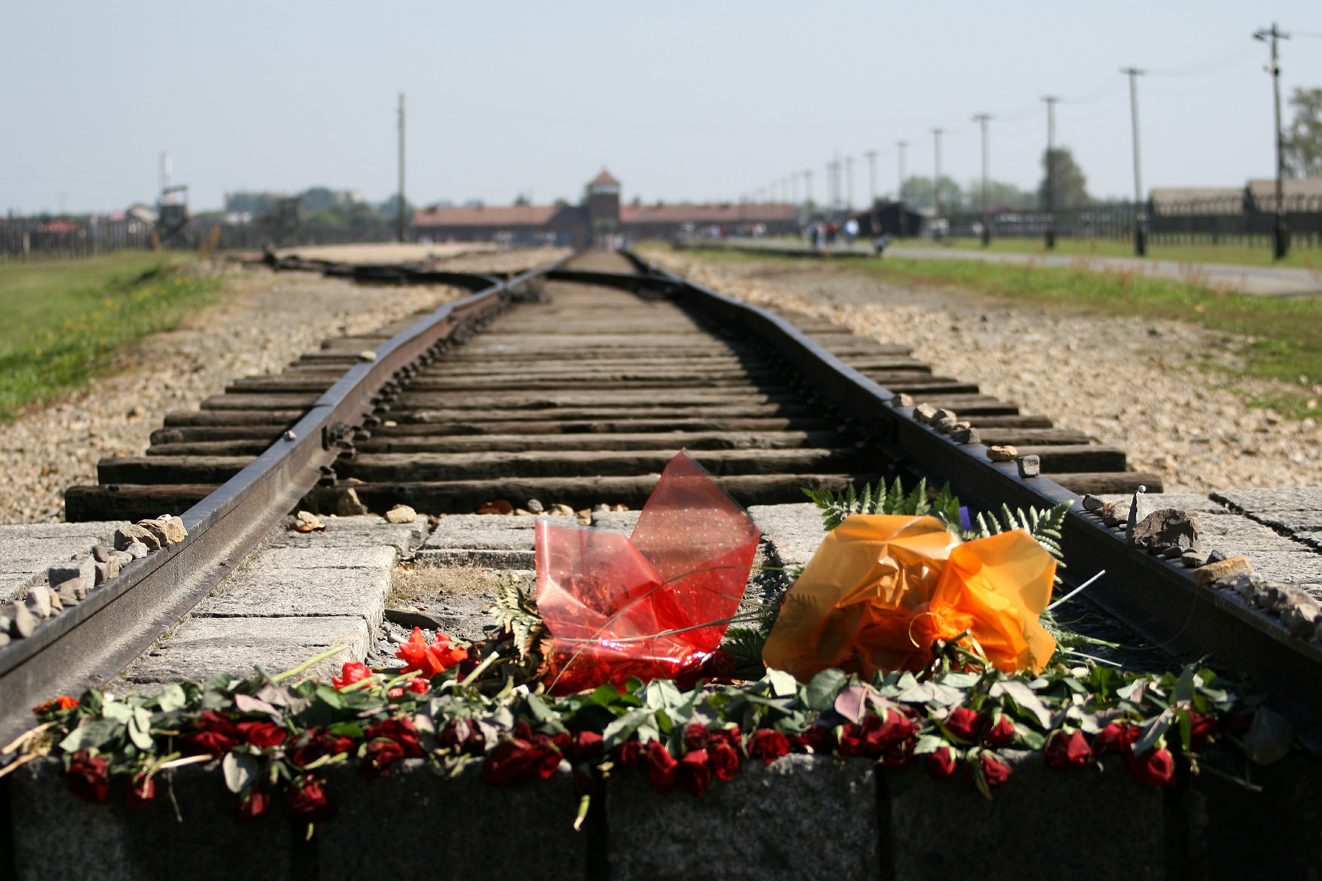 Auschwitz / Birkenau (c) Bild von Ron Porter auf Pixabay